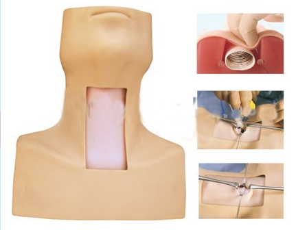 氣管插管練習模型