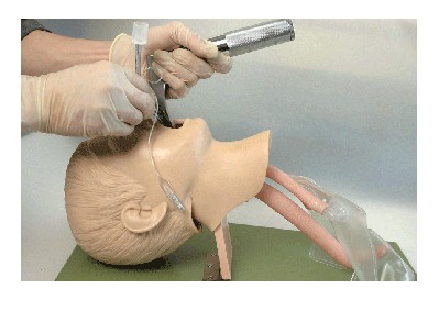 人體氣管插管模型培訓教學詳解