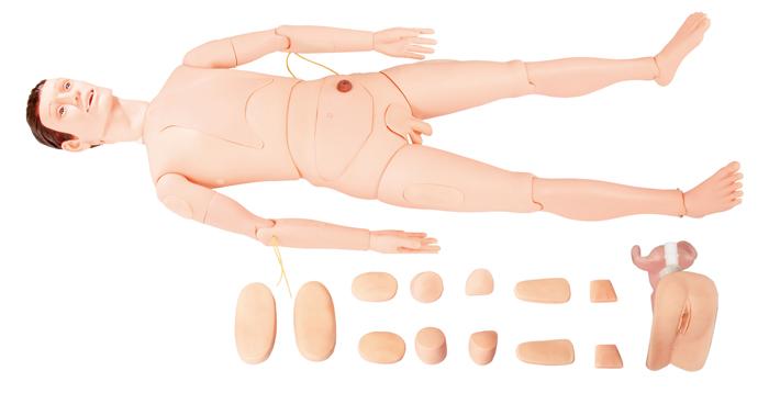 老年護(hù)理模型