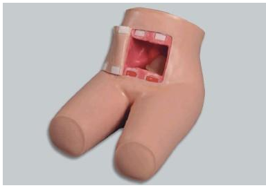 輔助排便、灌腸護(hù)理教學(xué)模型