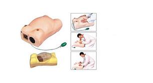 高級(jí)電腦孕婦檢查模型_生產(chǎn)廠(chǎng)家