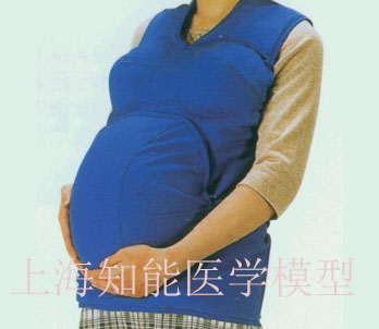 高級(jí)著裝式孕婦模型哪家好？