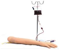 高級(jí)手臂靜脈穿刺及三角肌注射模型 高級(jí)手臂靜脈穿刺及三角肌注射模型