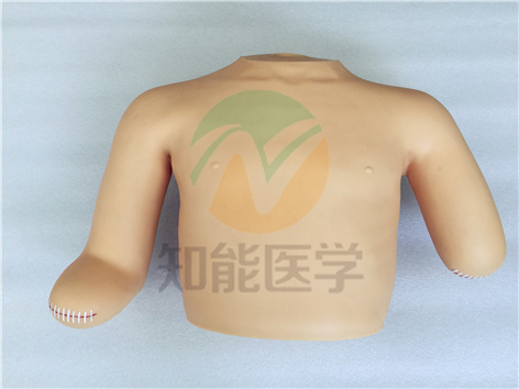 高級高位包扎模型實拍圖 高級高位包扎模型實拍圖