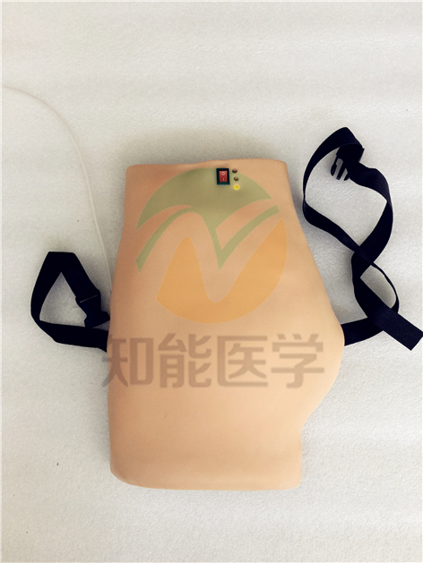 電子臀部注射訓練模型圖 電子臀部注射訓練模型圖