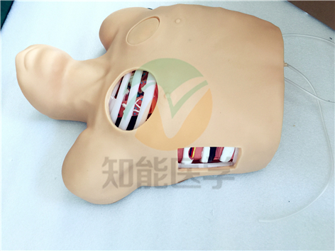 胸腔穿刺引流模型實拍圖2 胸腔穿刺引流模型實拍圖2
