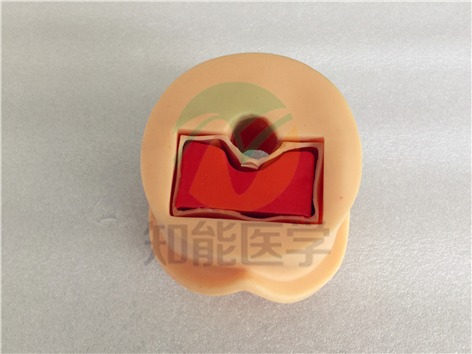 實(shí)拍圖4 實(shí)拍圖4