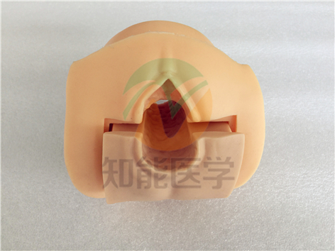 實(shí)拍圖3 實(shí)拍圖3