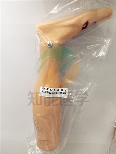 全功能創(chuàng)傷護理模擬人