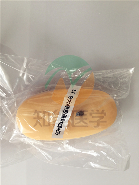 全功能創(chuàng)傷護理模擬人