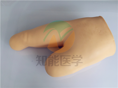 高級(jí)低位包扎模型實(shí)拍圖 高級(jí)低位包扎模型實(shí)拍圖