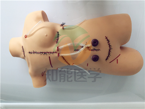 外科縫合包扎展示模型圖 外科縫合包扎展示模型圖