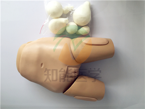 高級子宮底檢查評定模型實拍圖 高級子宮底檢查評定模型實拍圖