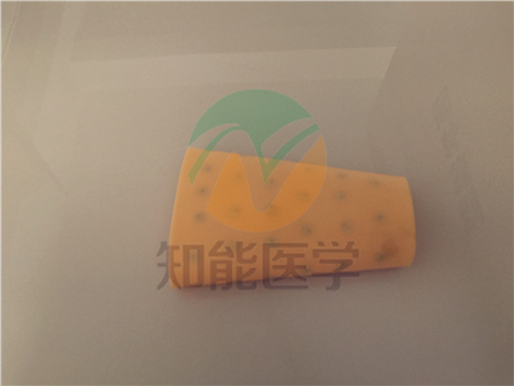 1494896499897061.jpg IMG_2855.jpg