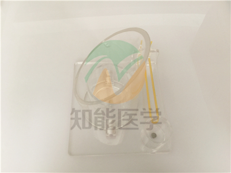 實(shí)拍圖2 實(shí)拍圖2