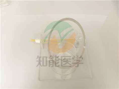 實(shí)拍圖1 實(shí)拍圖1