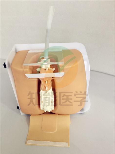 1494901590771500.jpg IMG_2889.jpg