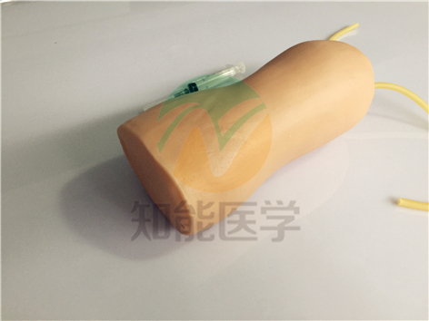 高級肘部靜脈穿刺訓練模型實拍圖 高級肘部靜脈穿刺訓練模型實拍圖