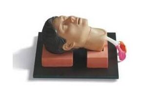 環(huán)甲膜穿刺訓練模型的使用方法