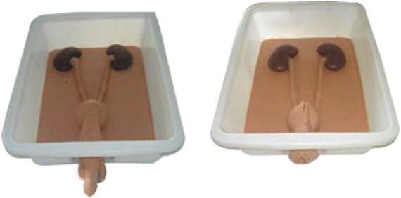 知能醫(yī)學模型泌尿內(nèi)鏡技能訓(xùn)練模型