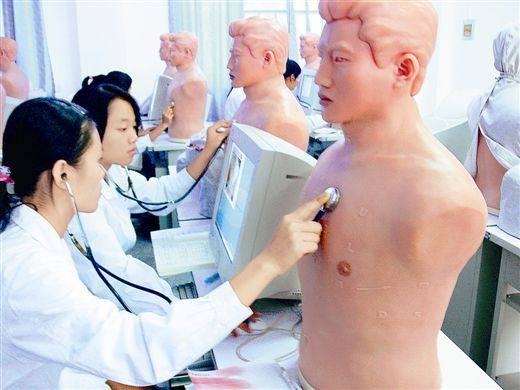 心肺聽診模型