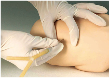 1584068168741781.png image.png