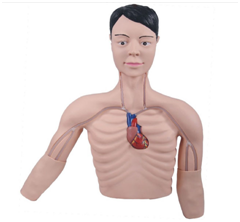 1584068468391417.png image.png