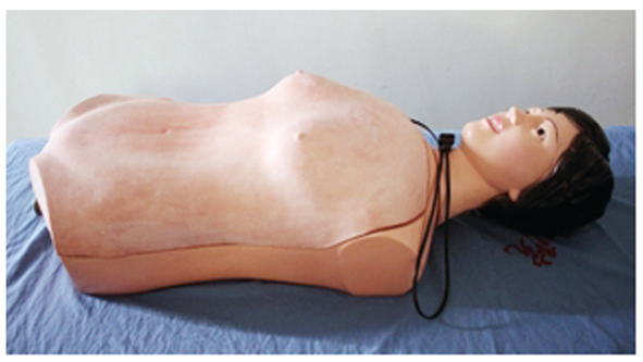 知能醫(yī)學模型肝脾觸診電動模型 BIX-A2113