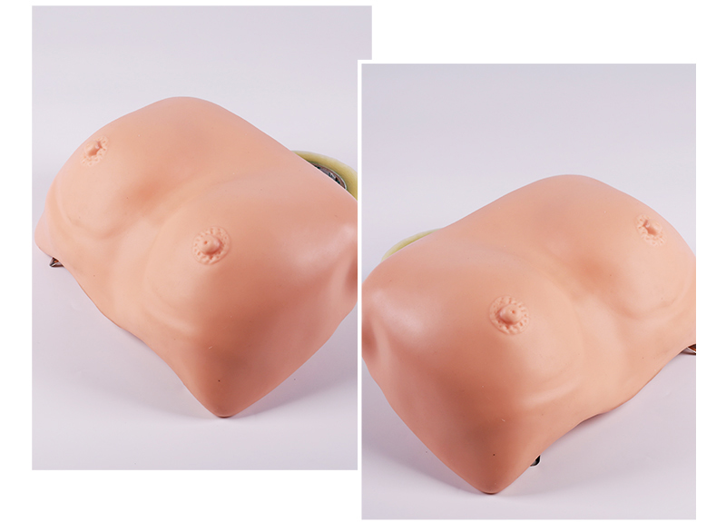 乳房檢查模型 乳房檢查模型