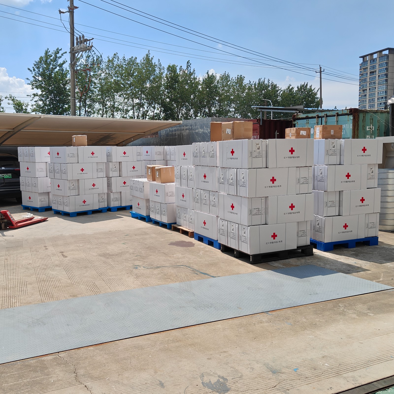 紅十字會救護培訓(xùn)模型 紅十字會救護培訓(xùn)模型