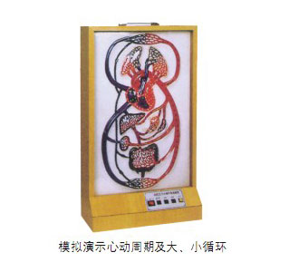 大、小循環(huán)電動模型