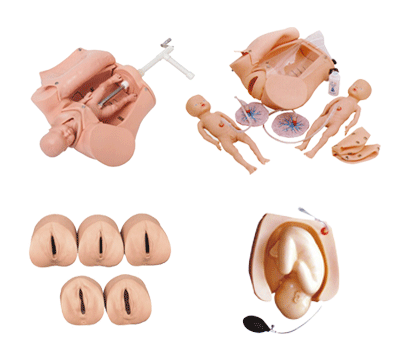 高級(jí)腹部觸診、分娩機(jī)轉(zhuǎn)綜合模型