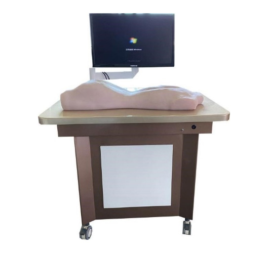 中醫(yī)拔罐、刮痧、推拿練習(xí)模型(BIX-BGTMX)