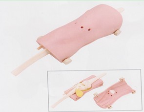 膝關節(jié)鏡檢查模型